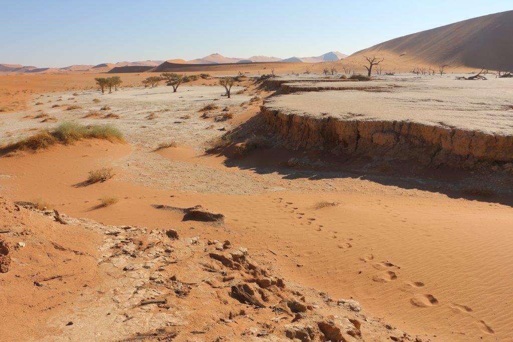 Namib Desert